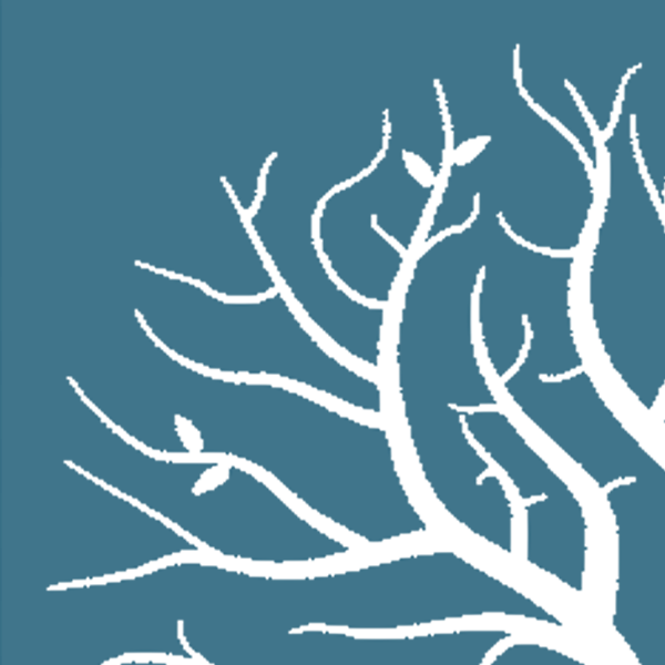 Lumion icon